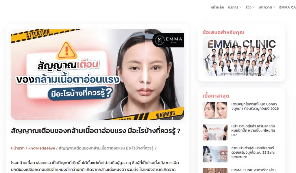 ตัวอย่างเขียนบทความ Emma-1