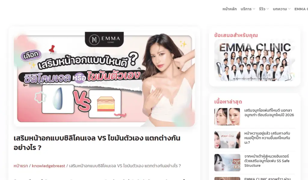 ตัวอย่างเขียนบทความ Emma-2