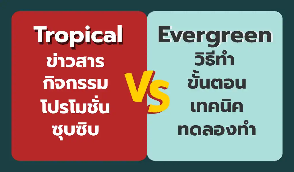 รูปแบบบทความ SEO 2 แบบ ที่ควรมีในเว็บไซต์