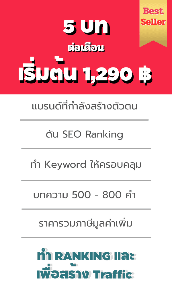 แพกเกจบทความ SEO รายเดือน 500-800 คำ-3